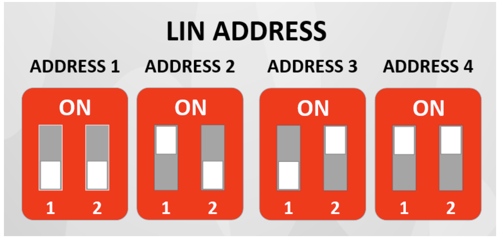 Talgil - 8/4 LIN Card -2