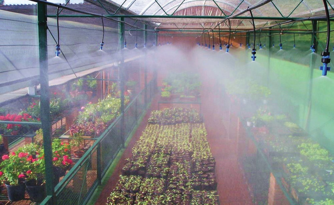 Green Mist - Features and Benefits